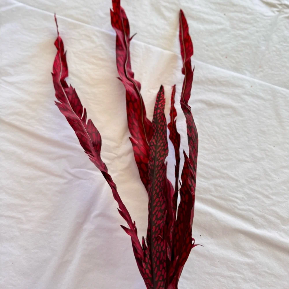 26” Faux Pheasant Feathers Red & Black Faux Floral Accent Feather Pick Stem
